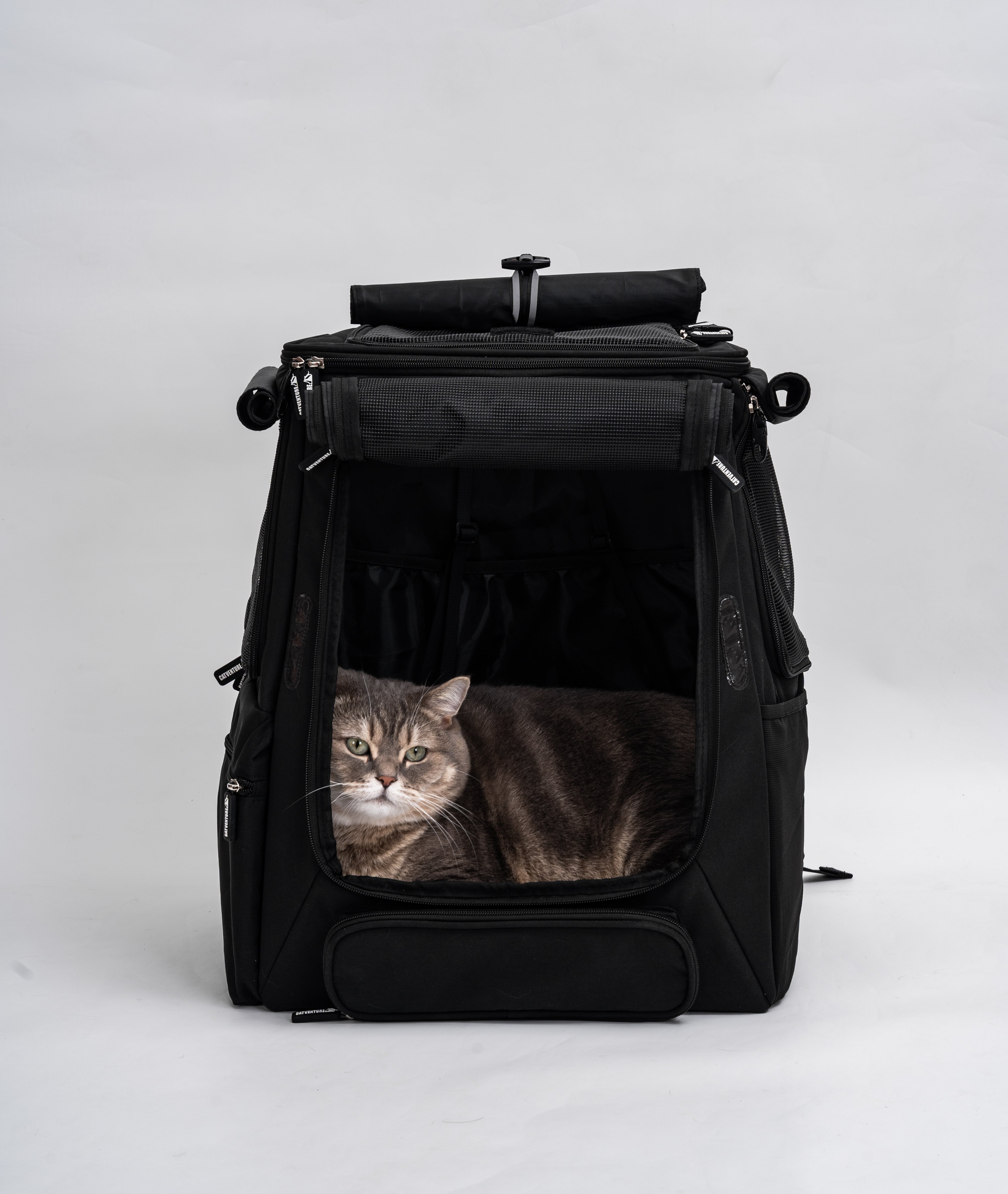 Cat Backpack Setup Guide: Open, Mesh, or Covered?