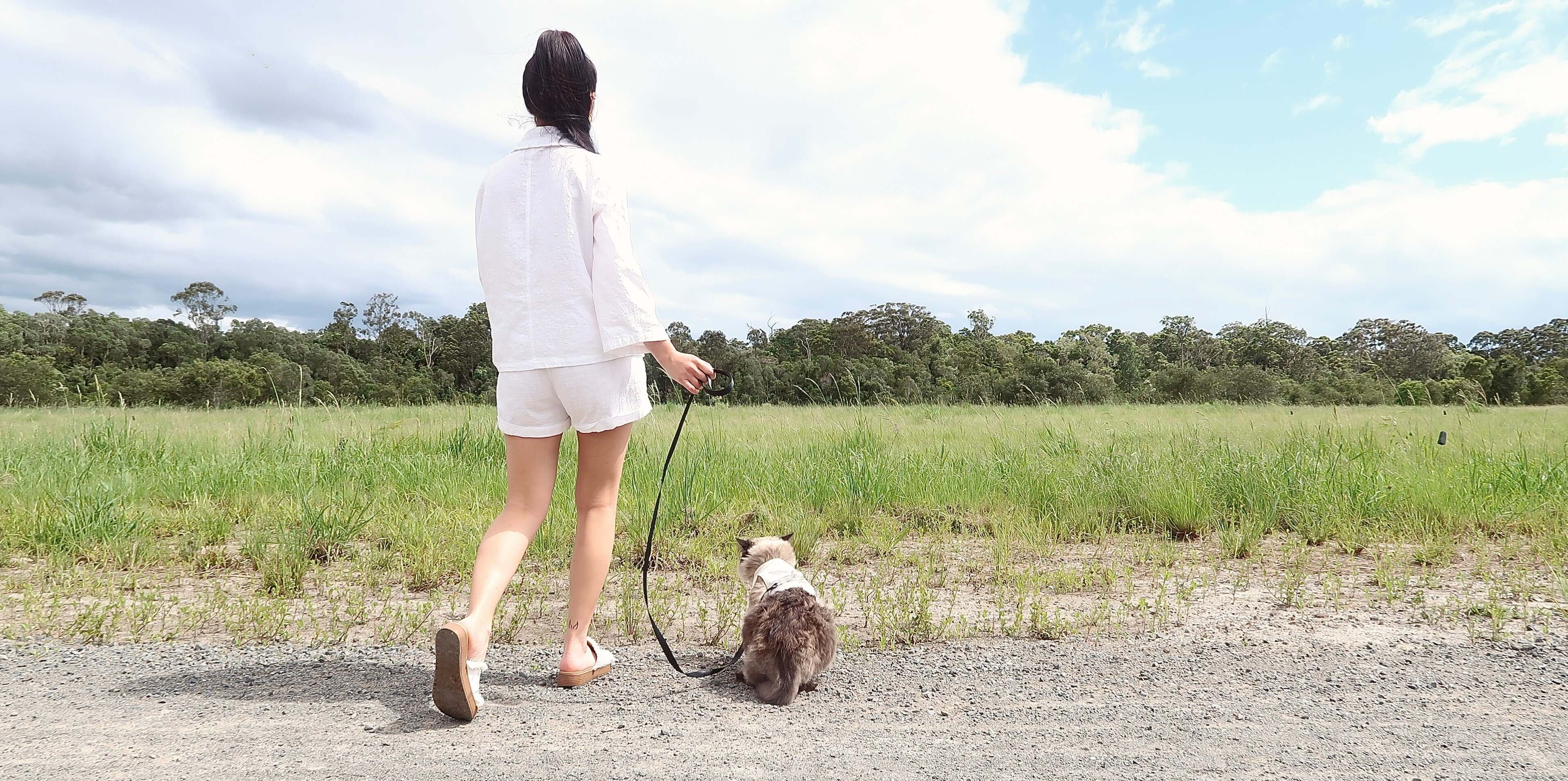 Camping with Cats in Australia: Tips, Tricks, and Must-Have Gear