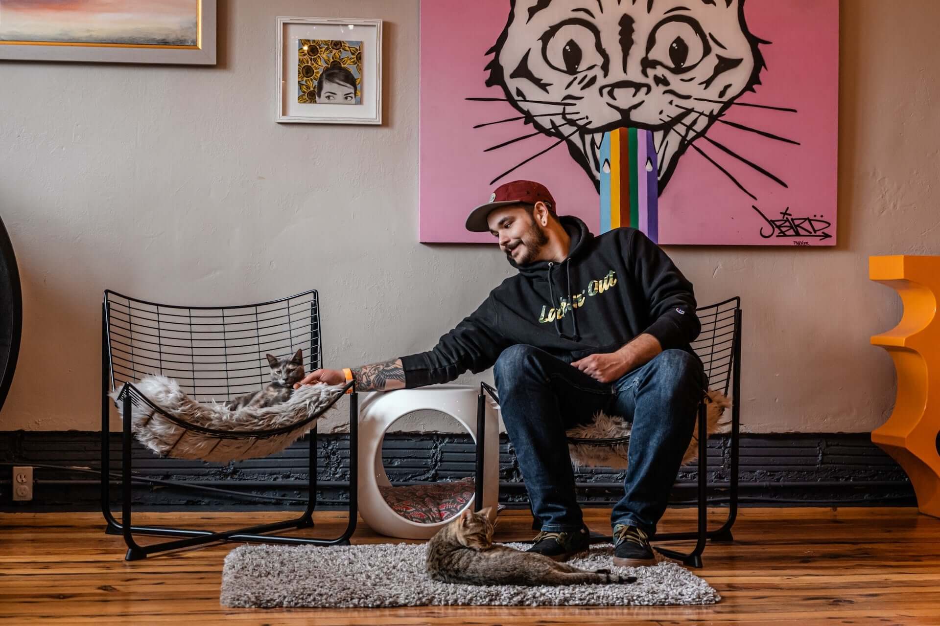 cat cafes australia