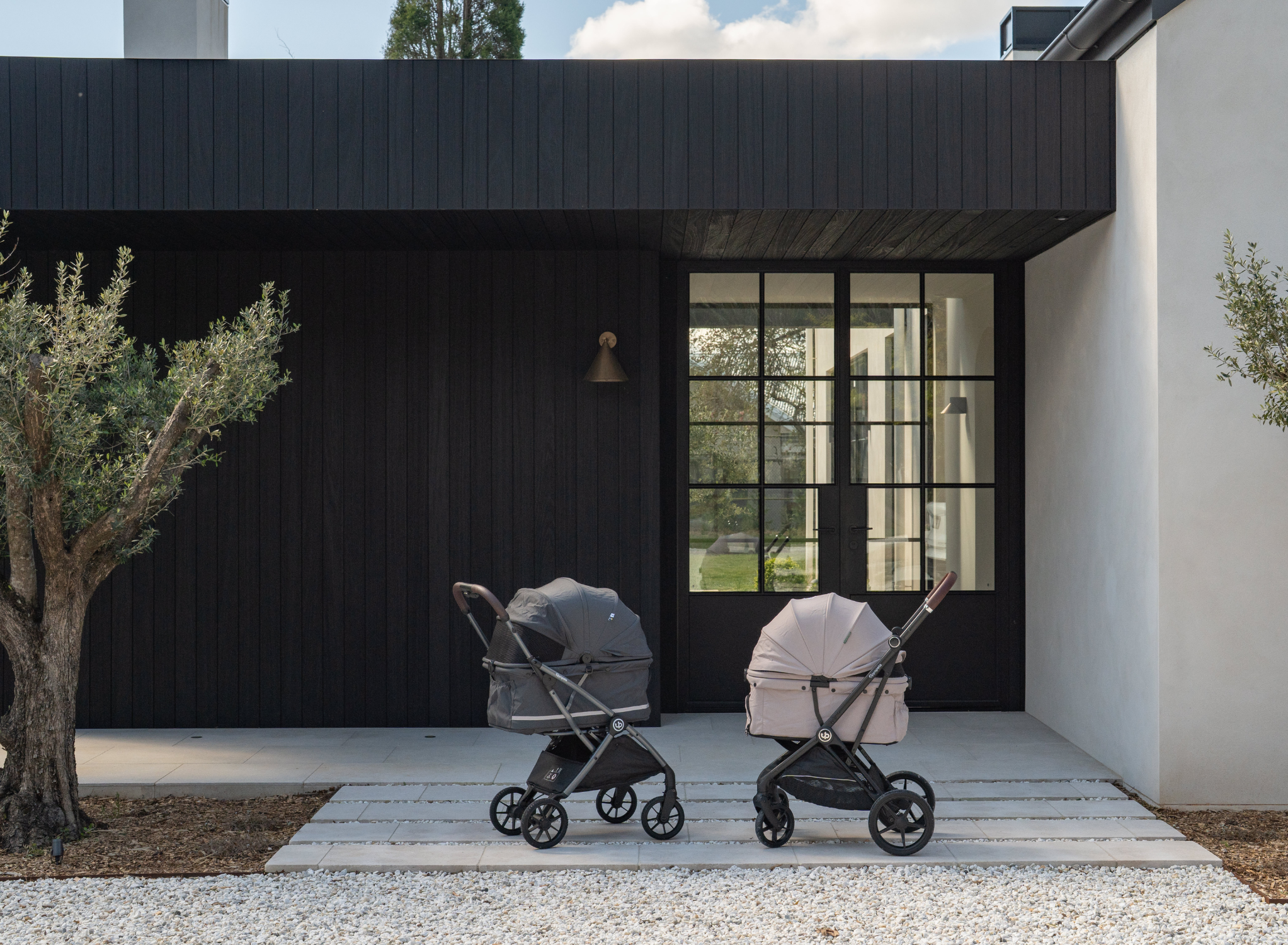 Pet Strollers