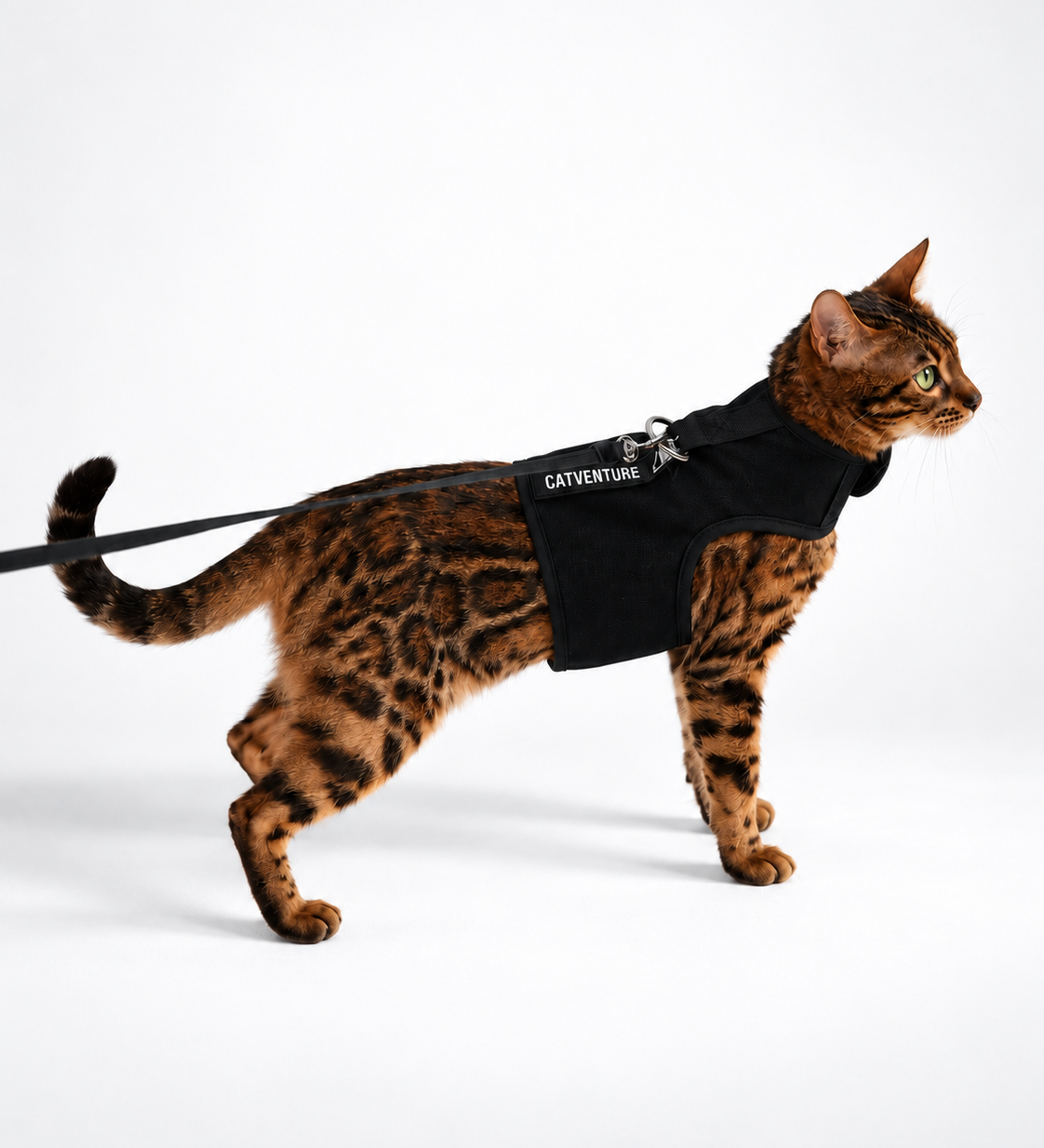 Cat Harnesses