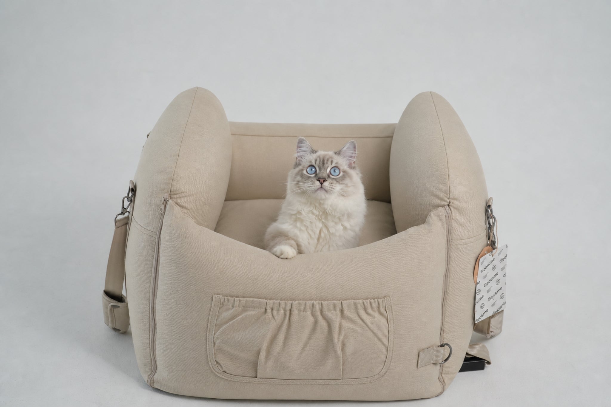 02-anne-beige-cat-lifestyle.jpg