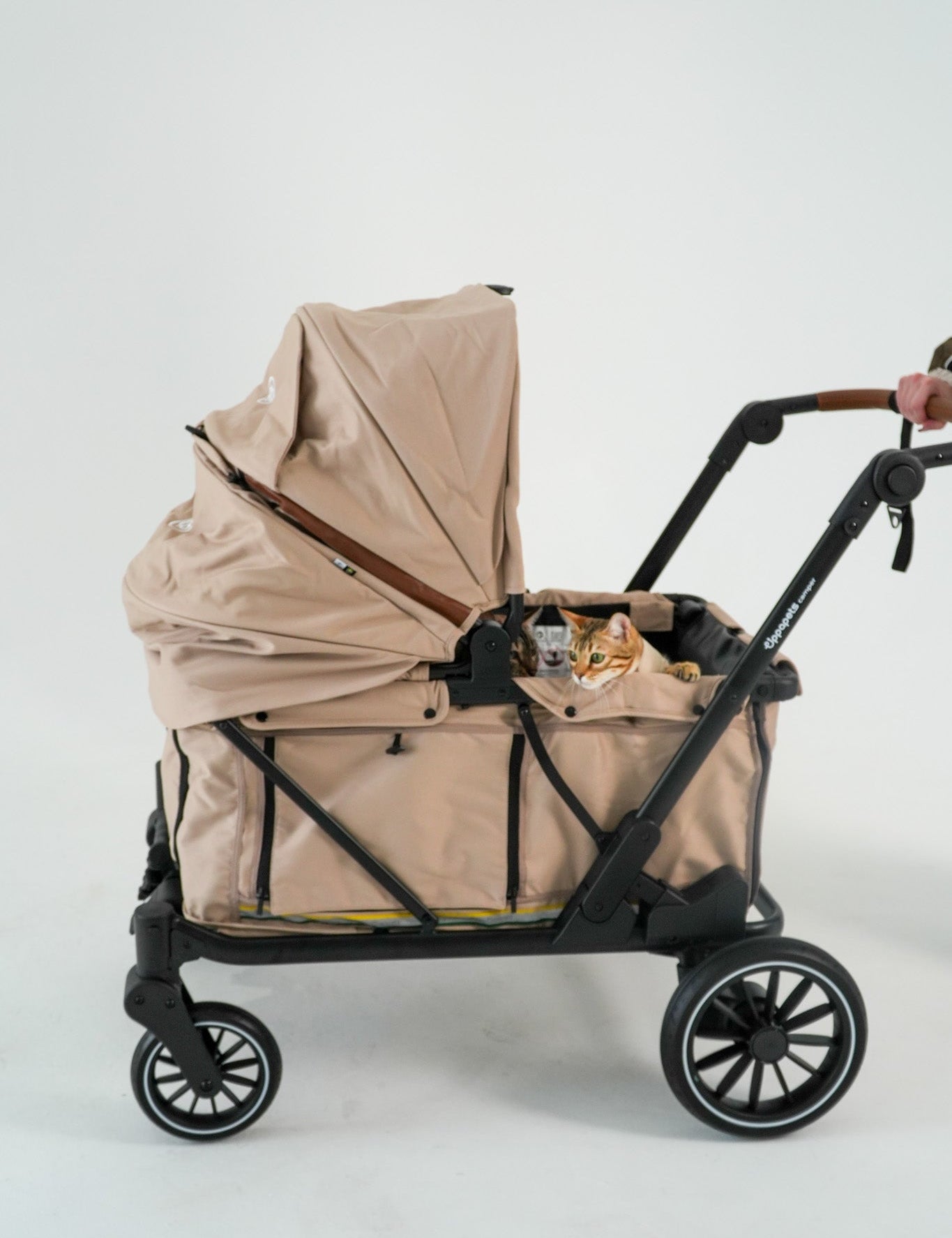 03-camper-beige-two-pets.jpg