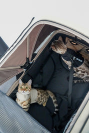 Camper Large Pet Stroller - Charcoal