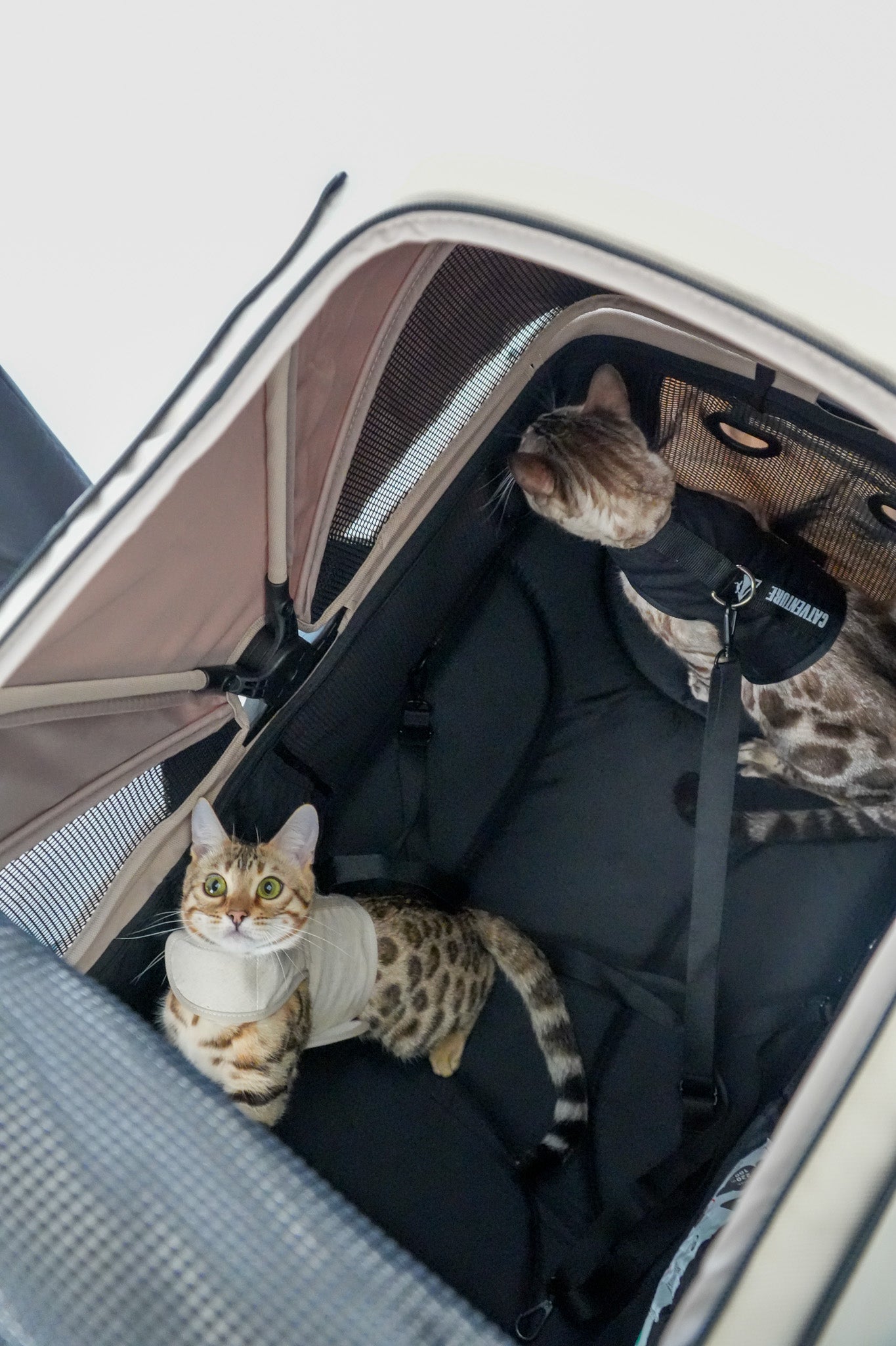 Camper Large Pet Stroller - Beige