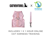 Kitten Harness Training Bundle