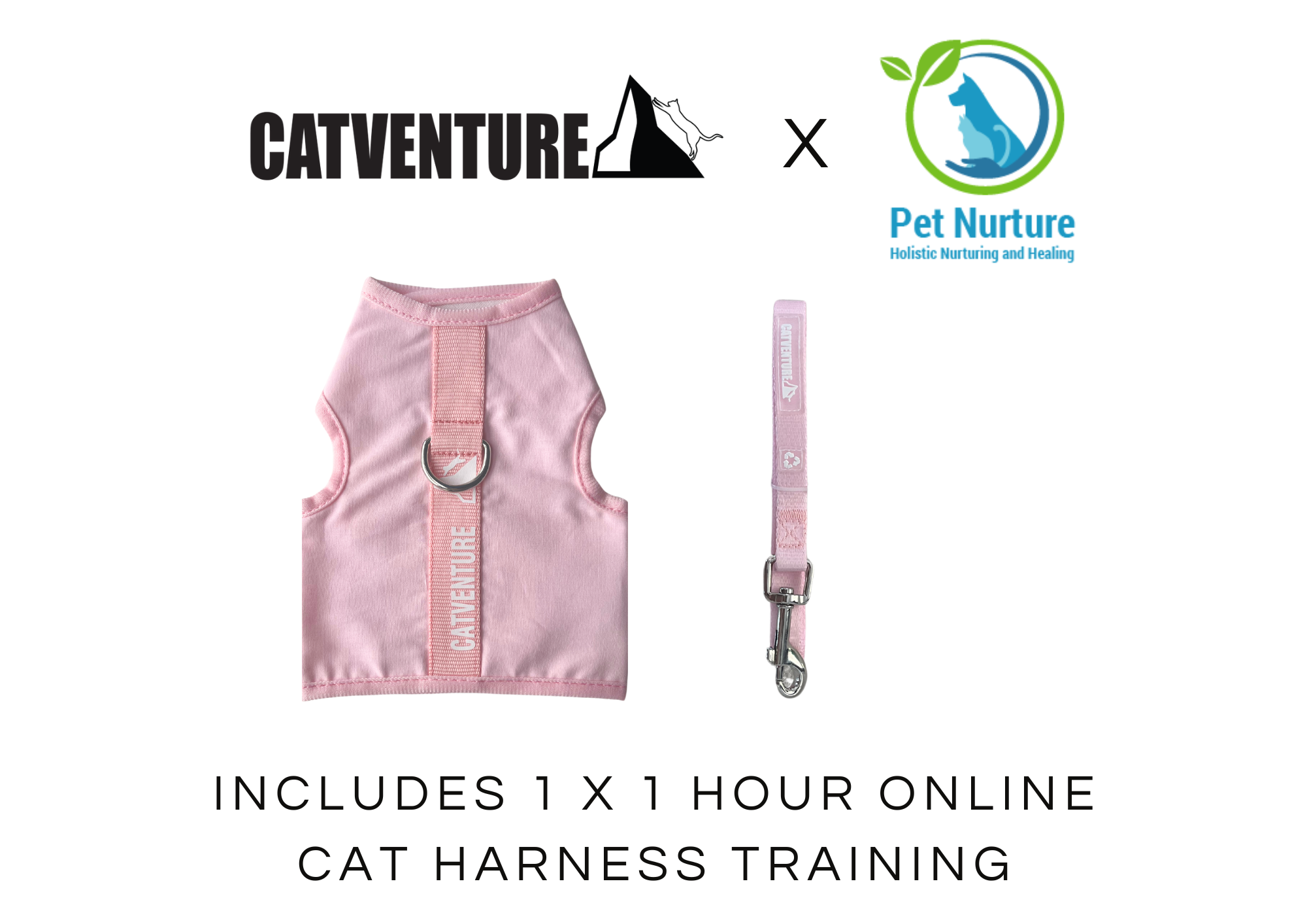 Kitten Harness Training Bundle