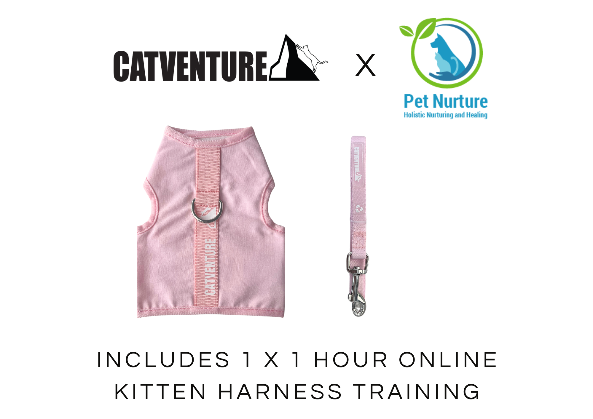 Kitten Harness Training Bundle