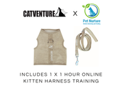 Kitten Harness Training Bundle