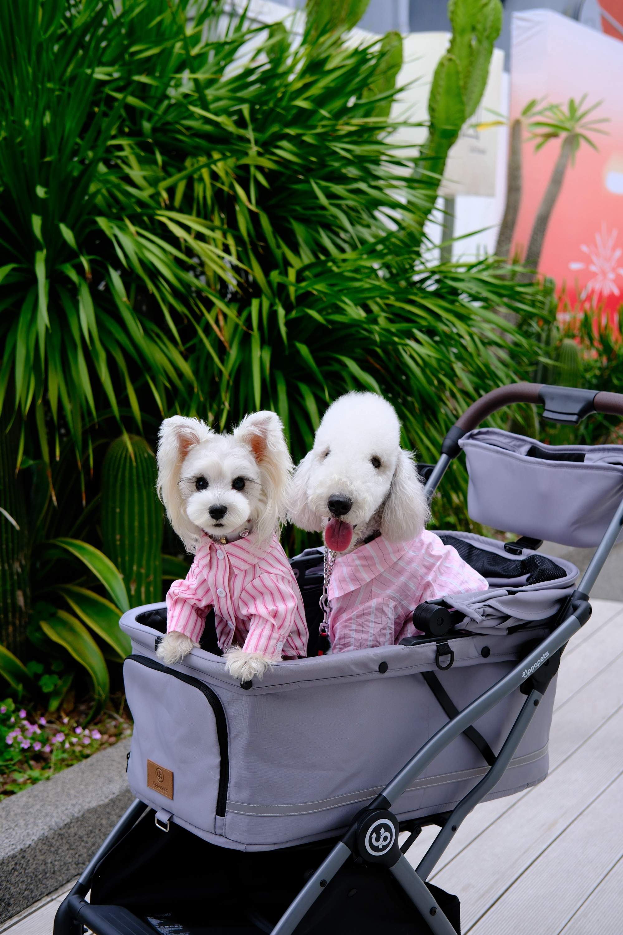 Hybrid Pet Stroller - Warm Grey
