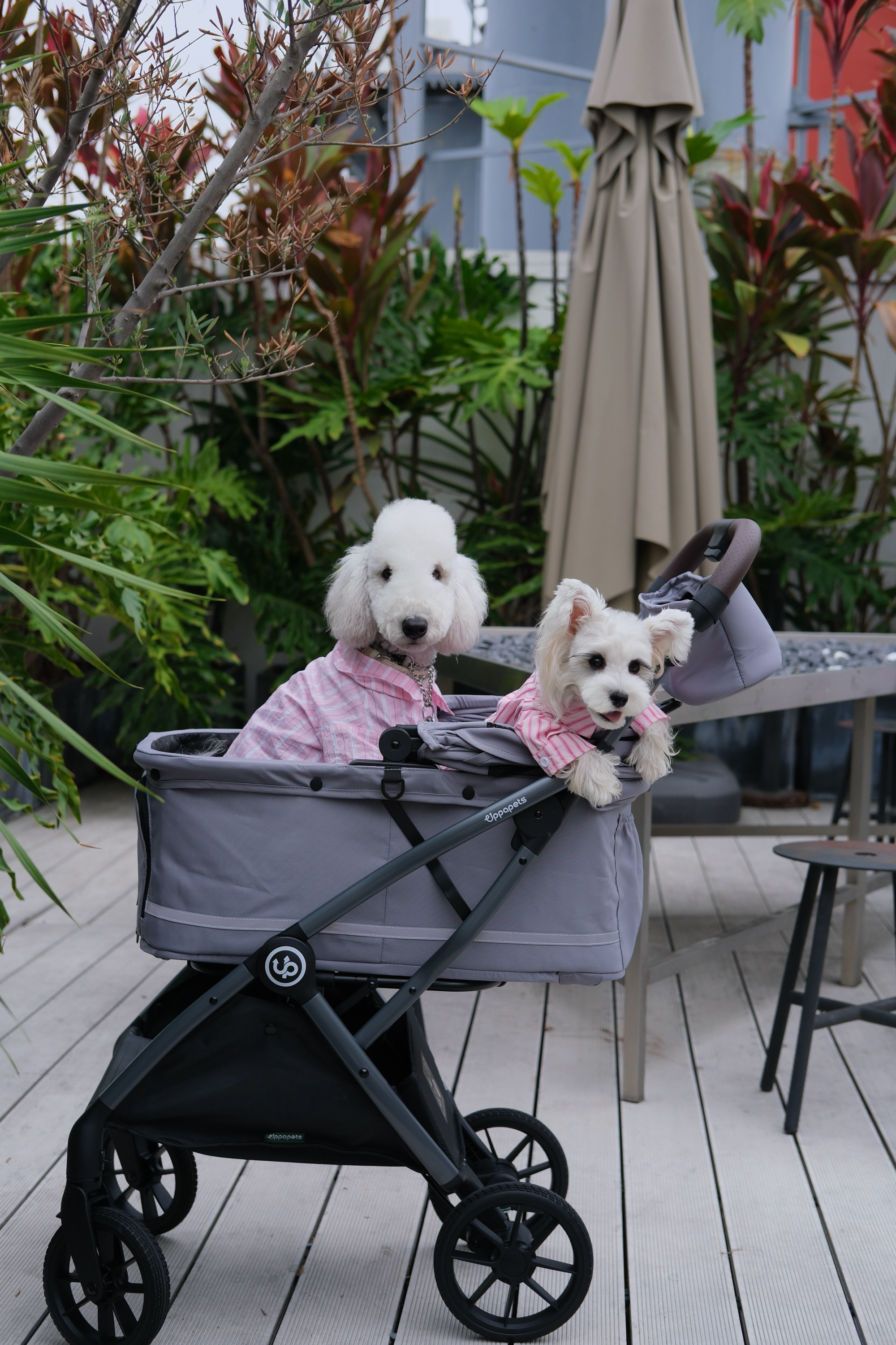 Hybrid Pet Stroller - Warm Grey