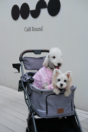 Hybrid Pet Stroller - Warm Grey