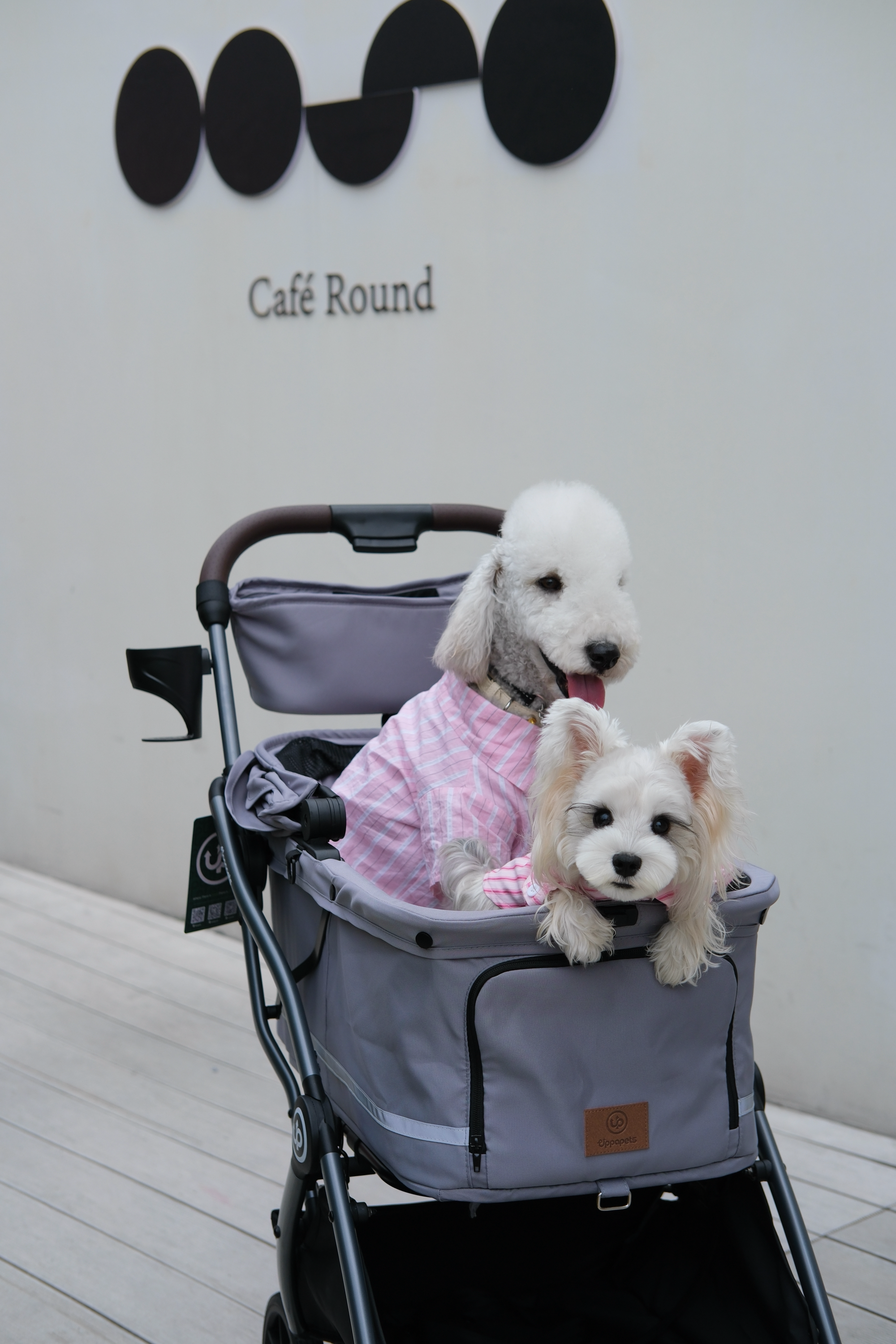 Hybrid Pet Stroller - Warm Grey