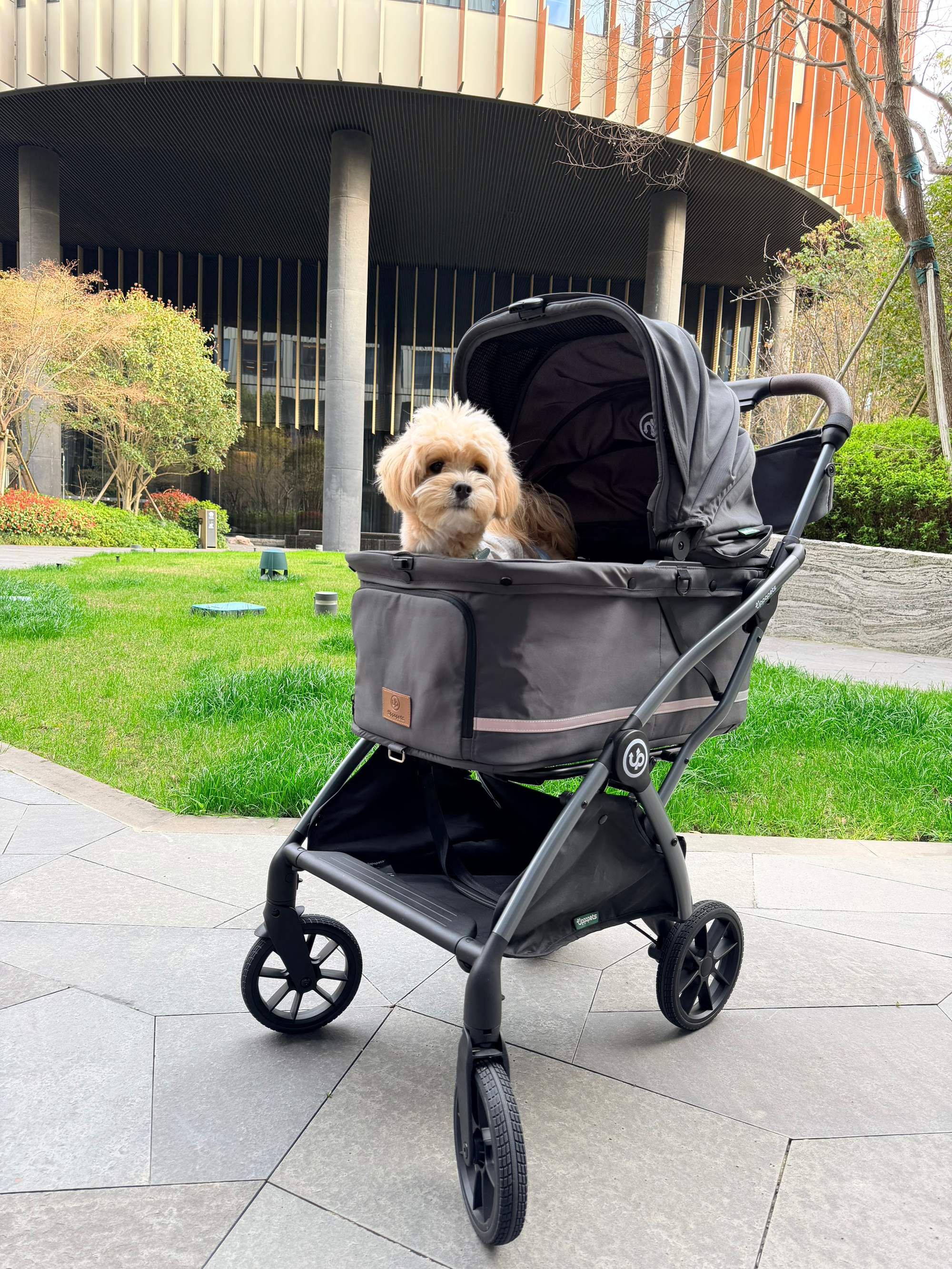 Hybrid Pet Stroller - Charcoal