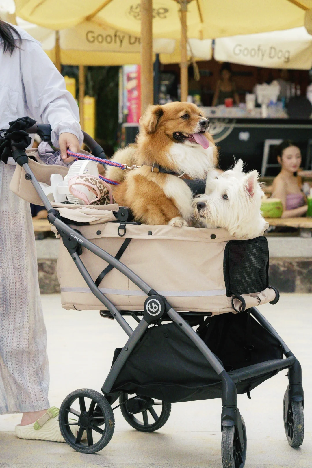 Hybrid Pet Stroller - Beige