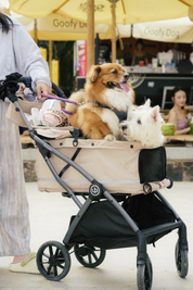 Hybrid Pet Stroller - Beige