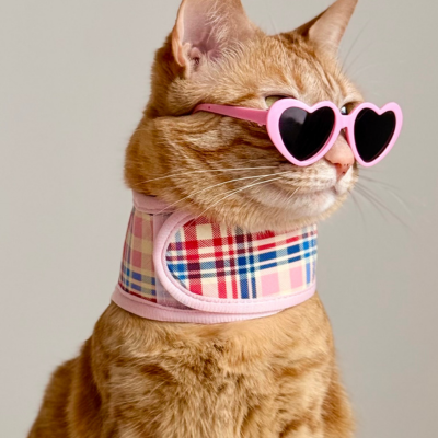 Minimise Wildlife Destruction