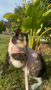 Catventure - Escape Proof Cat Harness - Pink