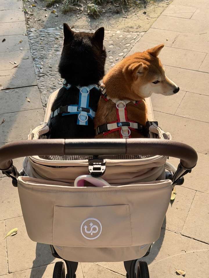 Hybrid Pet Stroller - Beige
