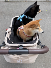 Hybrid Pet Stroller - Beige
