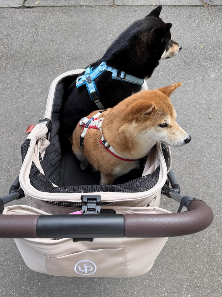 Hybrid Pet Stroller - Beige