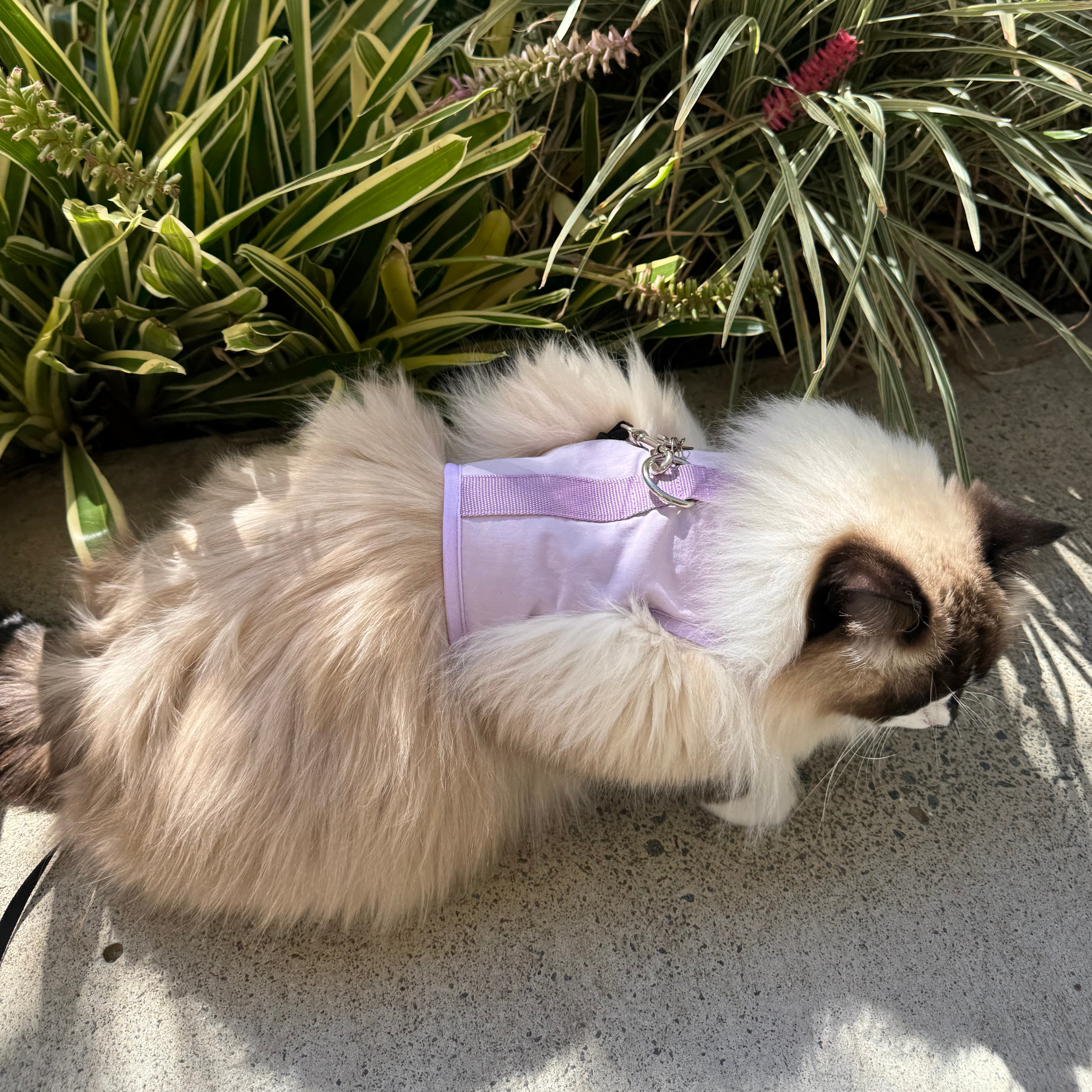 Minimise Wildlife Destruction