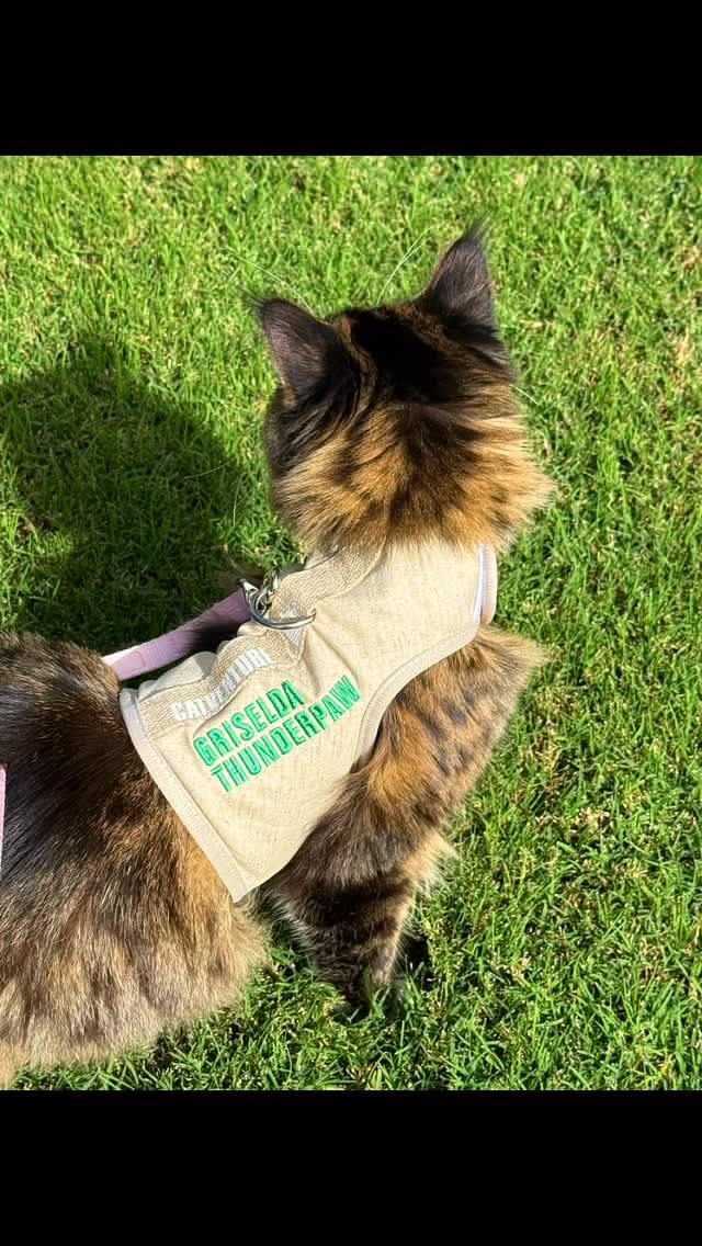 Catventure - Escape Proof Cat Harness - Natural