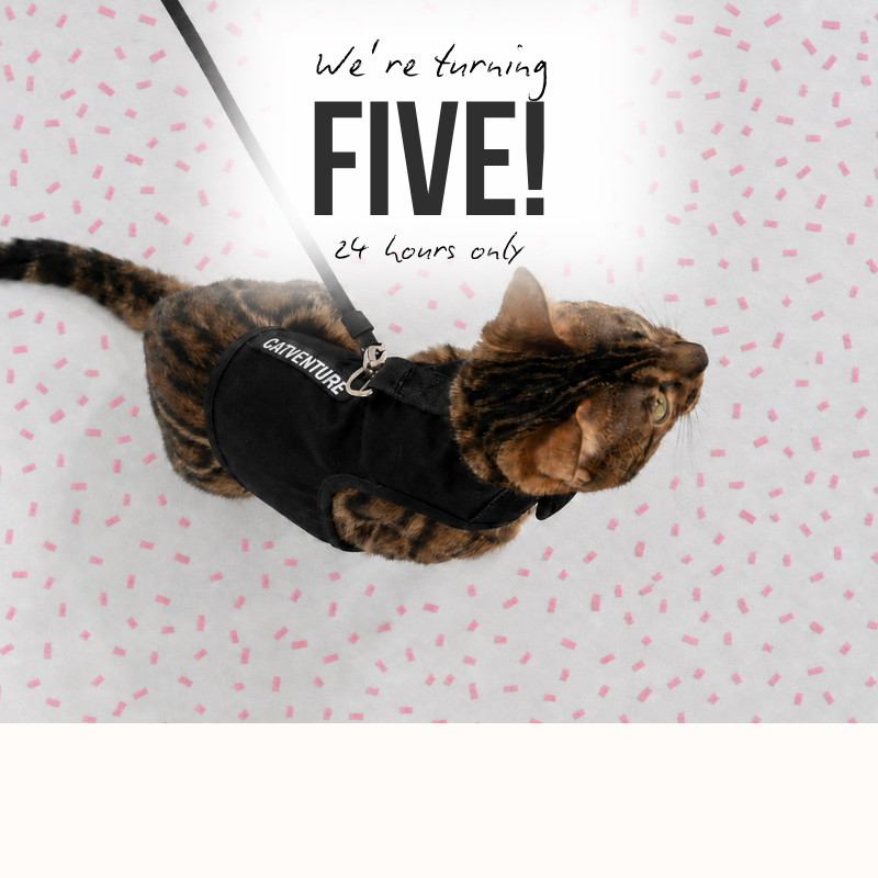 5th_Birthday_Email_Promo_8.png