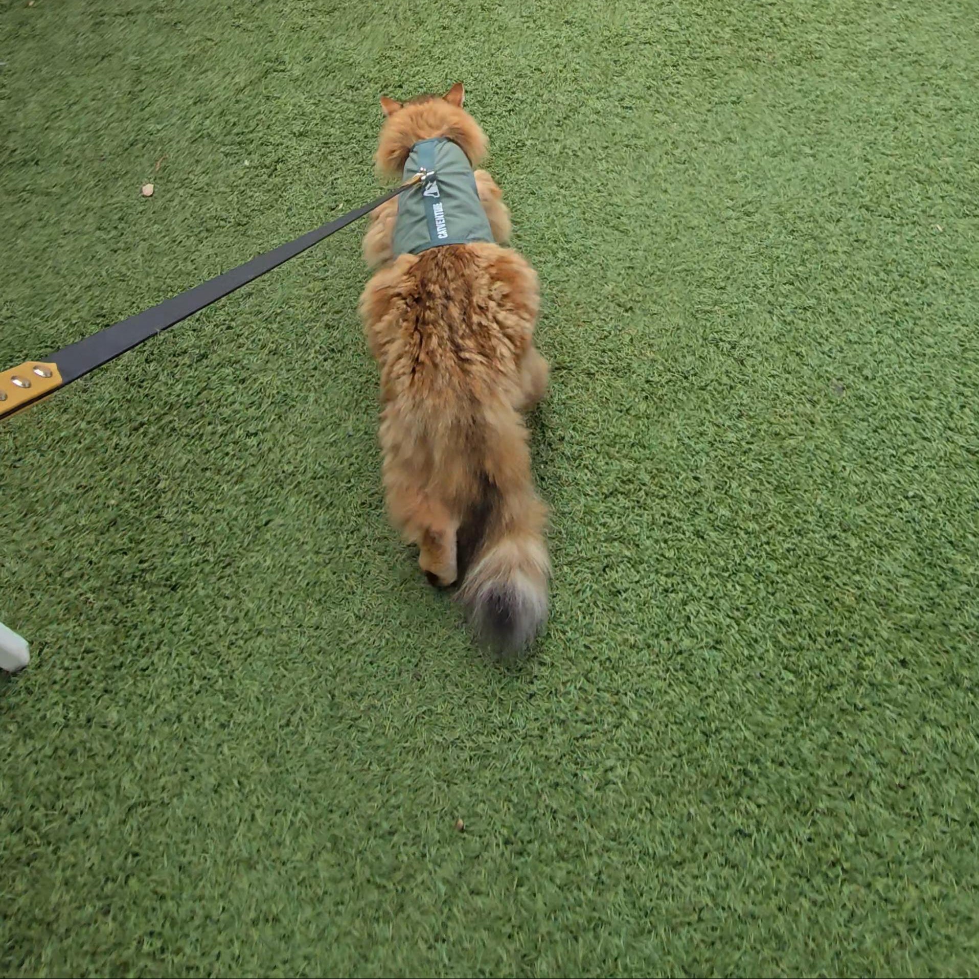 Optimal Fit and Comfort: 