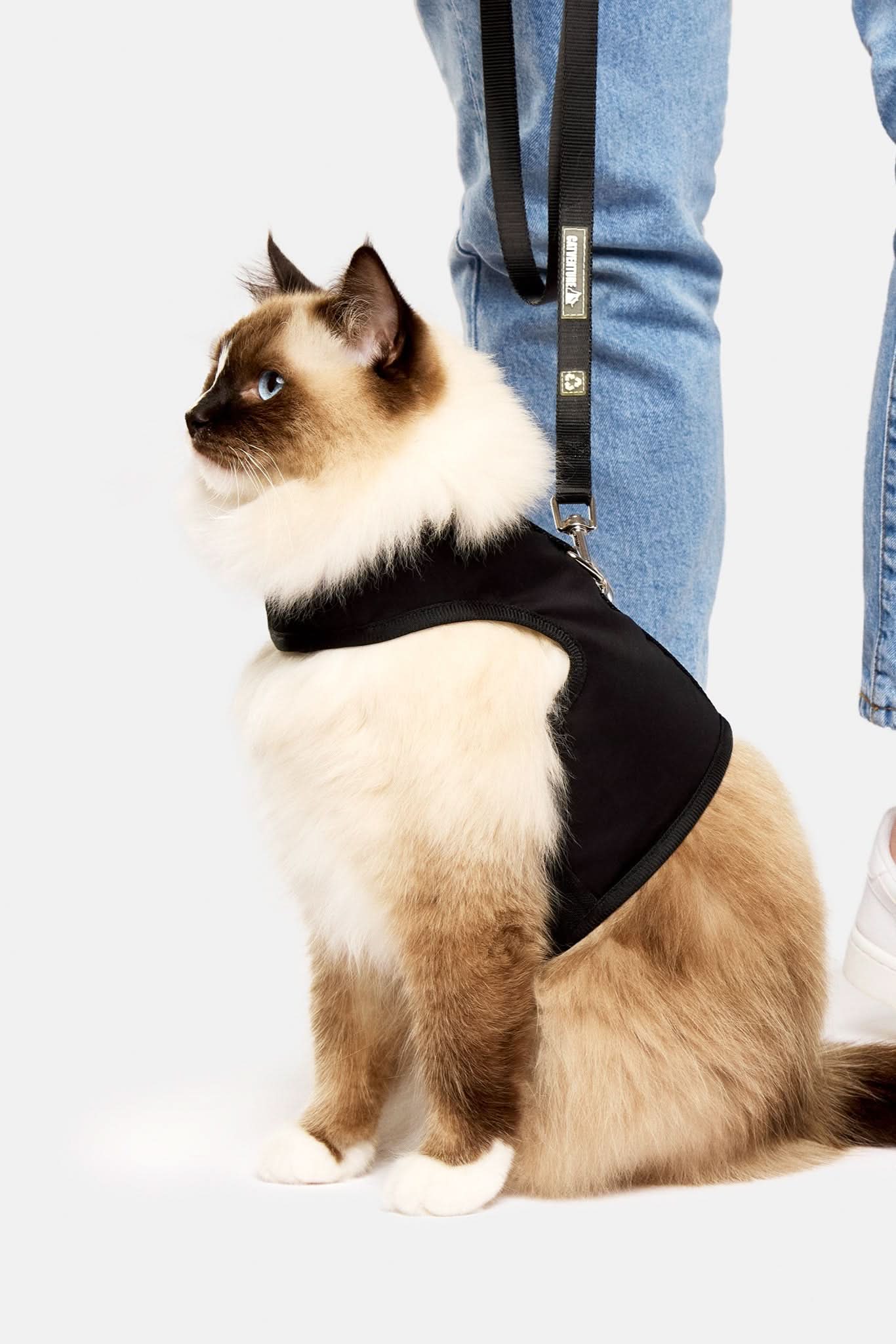 Catventure Starter Pack - Black