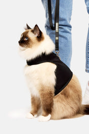 Catventure Starter Pack - Black