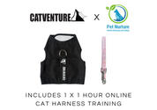 Cat Harness Training Bundle