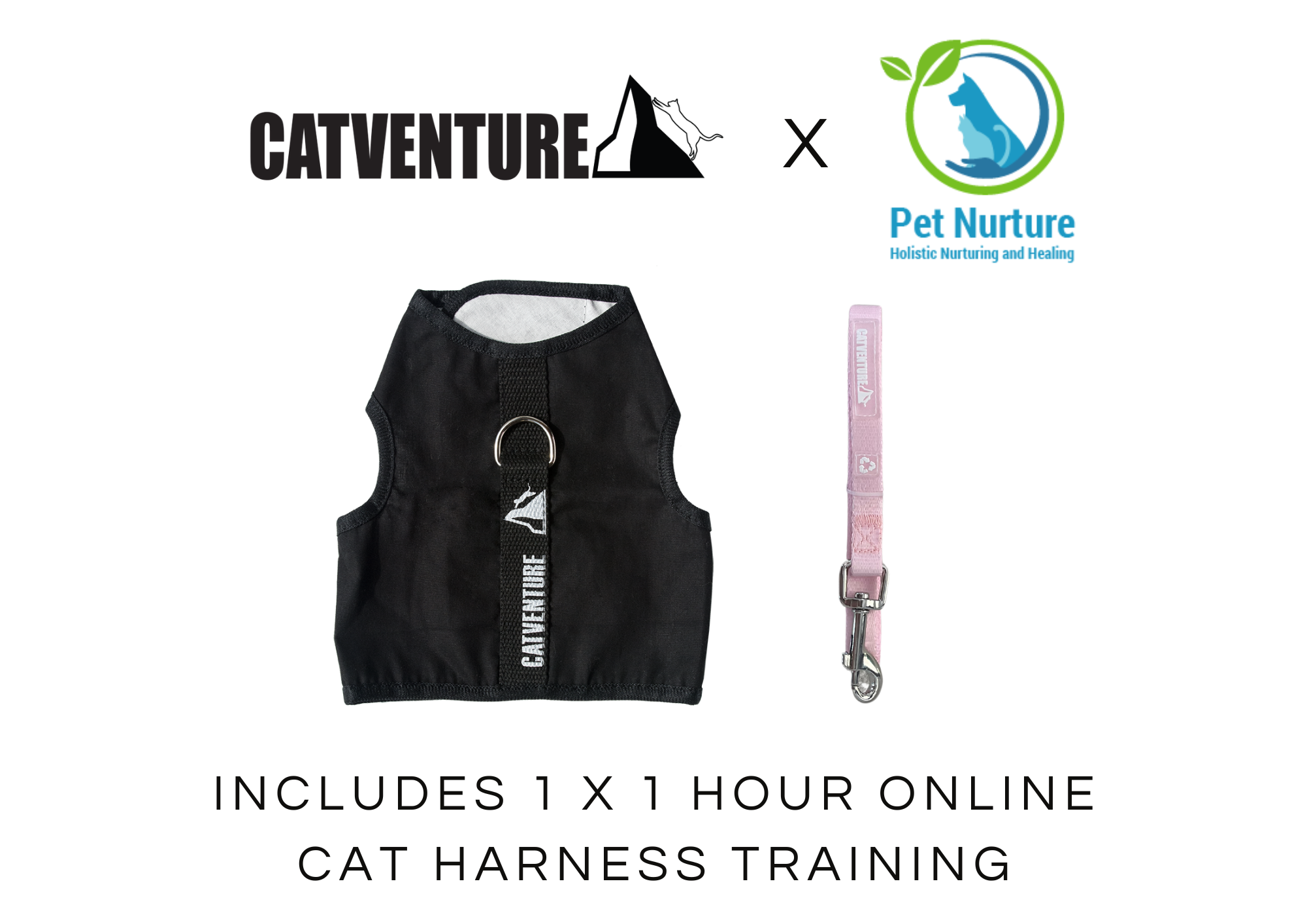 Cat Harness Training Bundle
