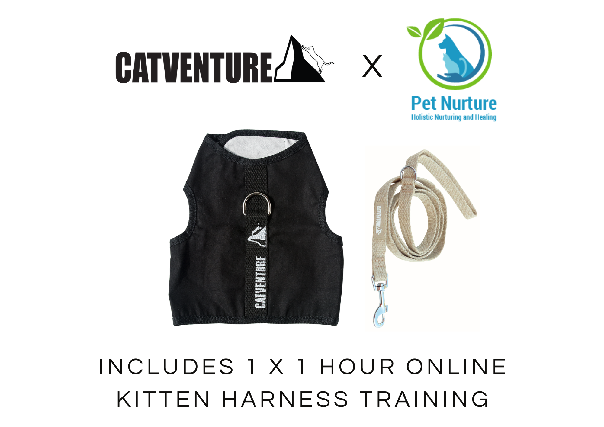 Kitten Harness Training Bundle