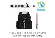 Cat Harness Training Bundle