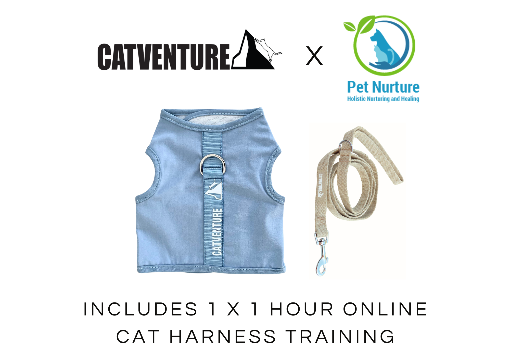 Cat Harness Training Bundle
