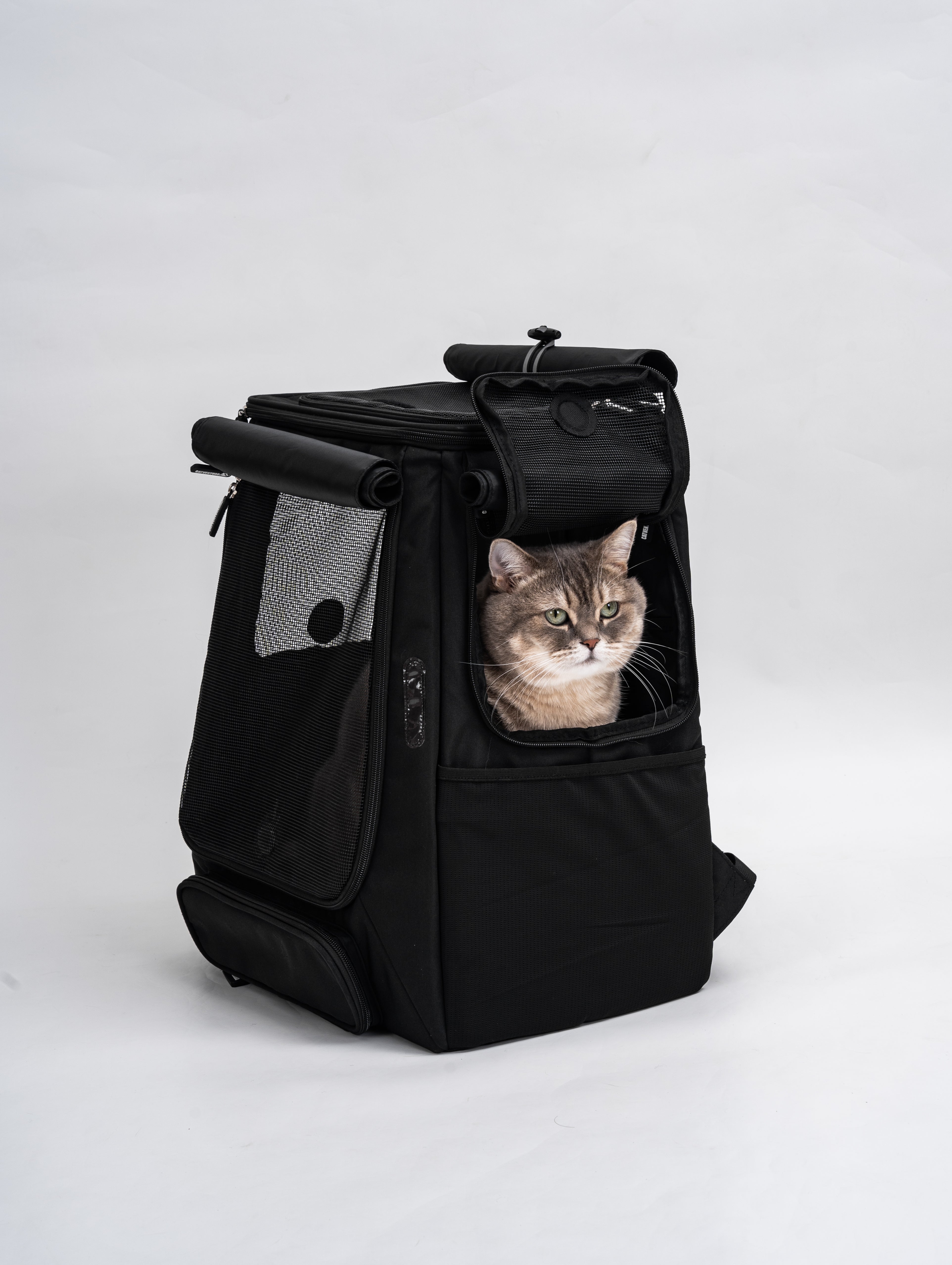 Catventure Premium Adventure Backpack (Pre Order - Mid June Dispatch)