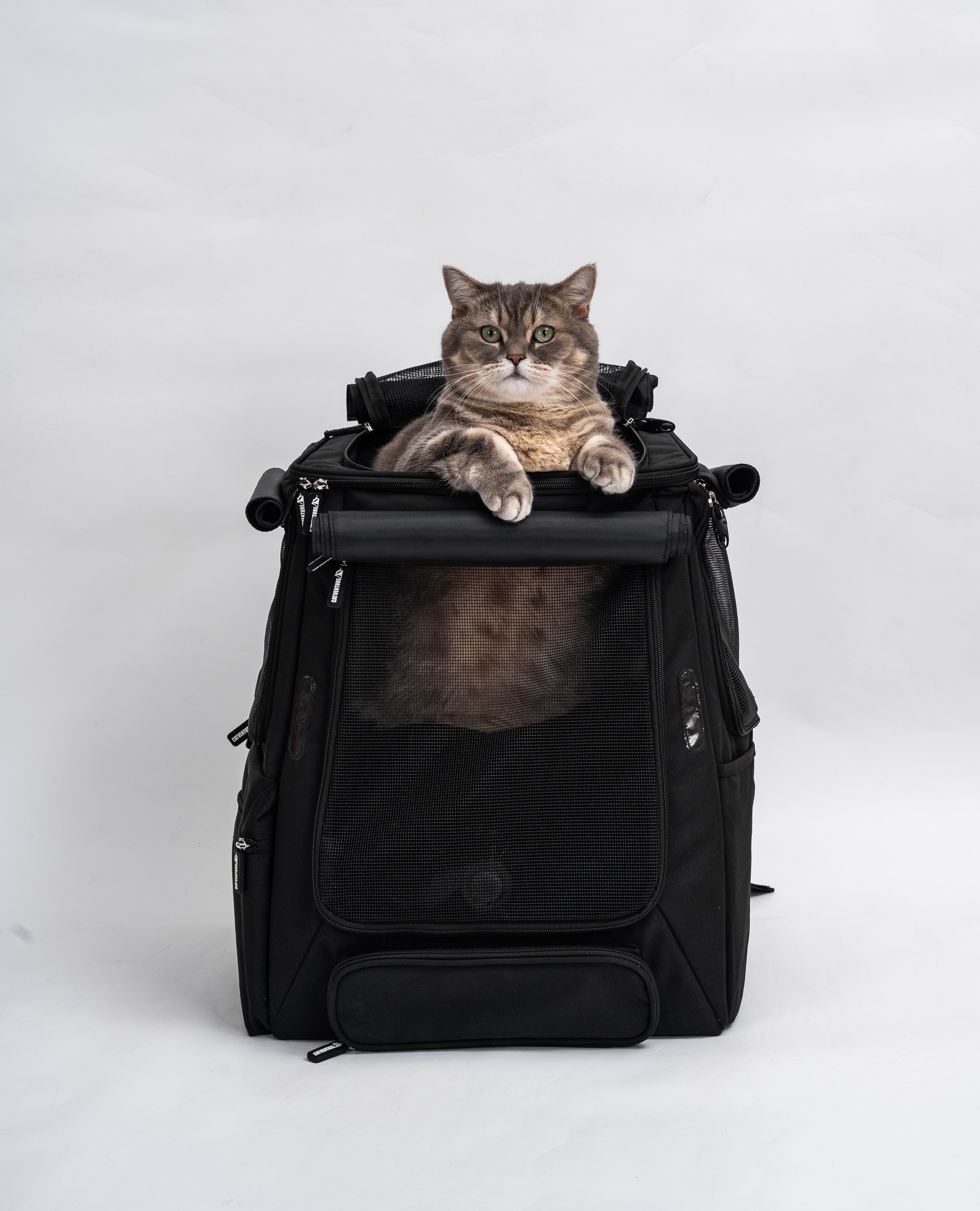 Catventure premium adventure backpack