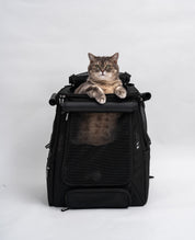 Catventure Premium Adventure Backpack (Pre Order - Mid June Dispatch)