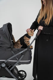 Hybrid Pet Stroller - Charcoal