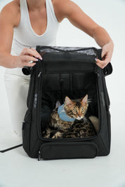 Catventure Premium Adventure Backpack