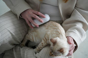 Cat Slicker Brush with Steam