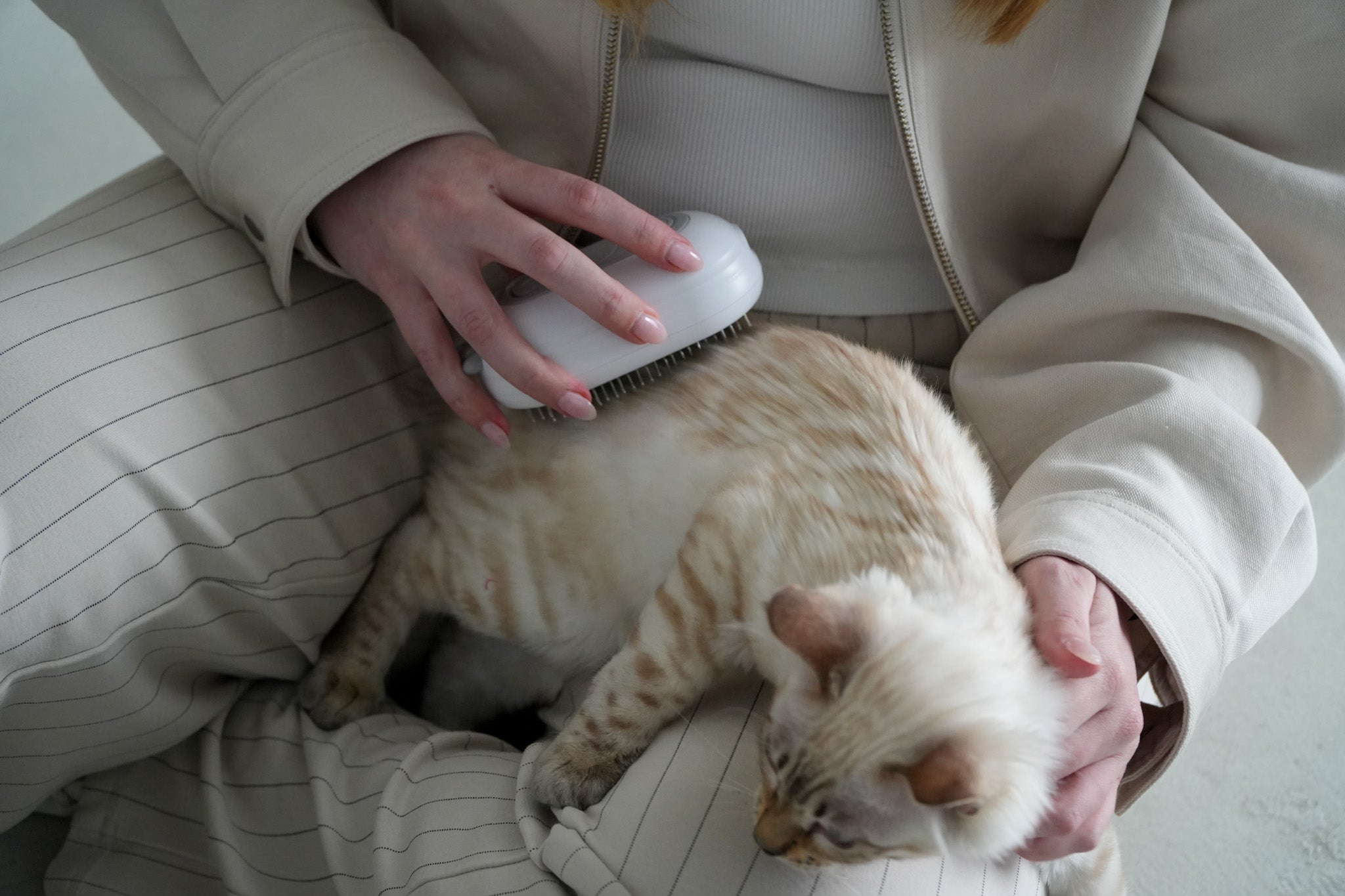 Cat Slicker Brush with Steam