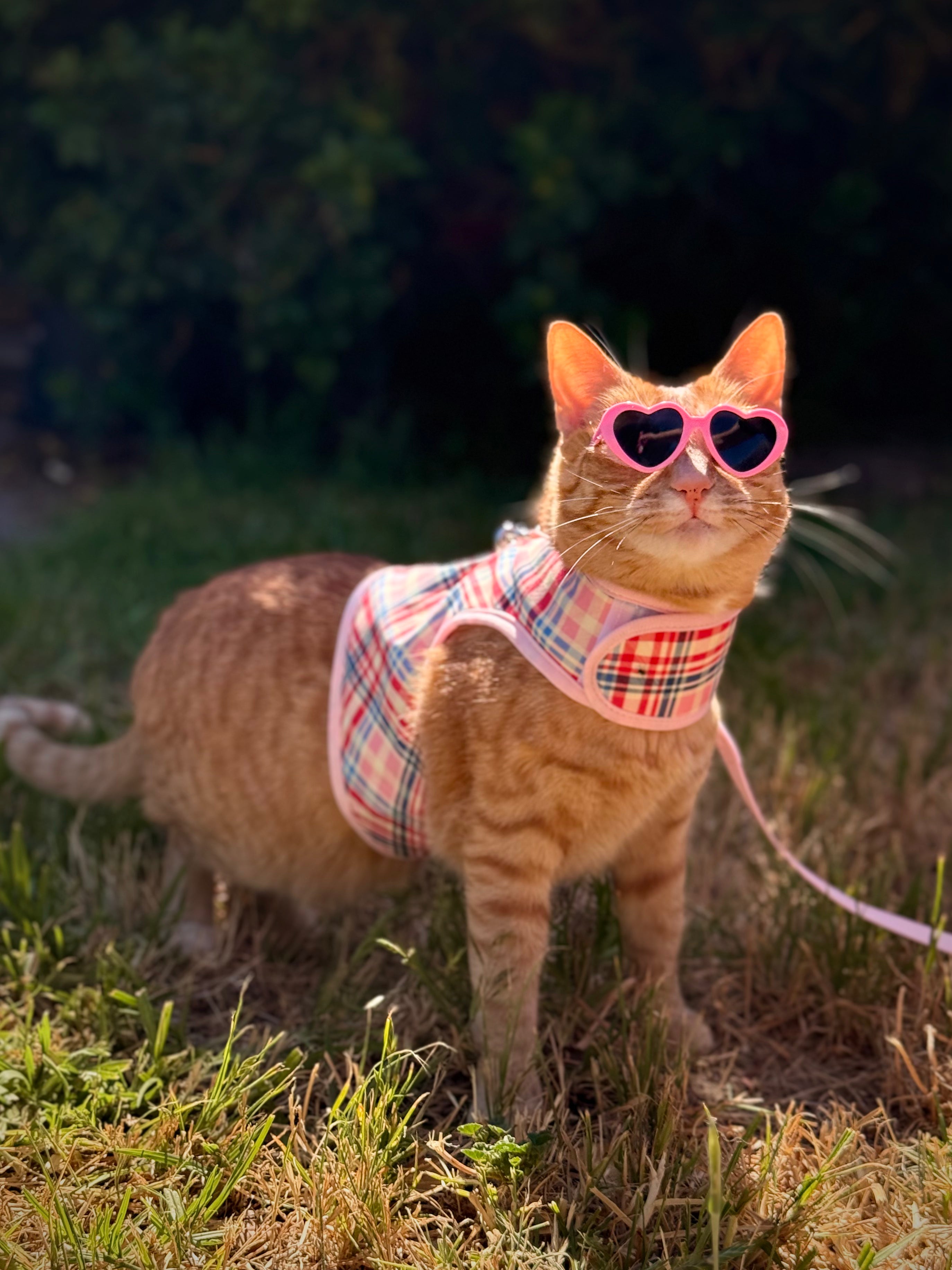 Optimal Fit and Comfort: 