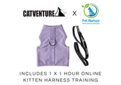 Kitten Harness Training Bundle