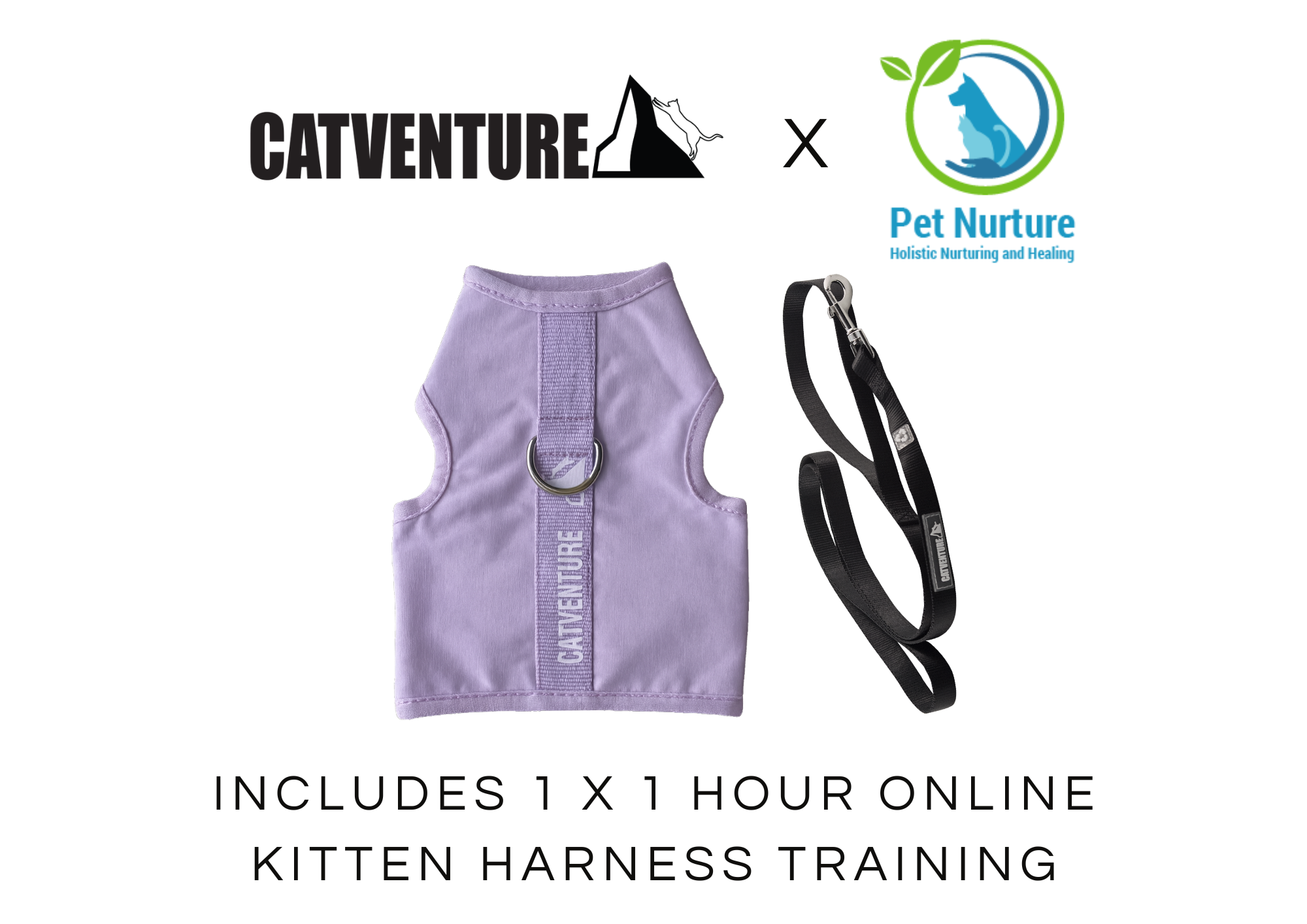Kitten Harness Training Bundle