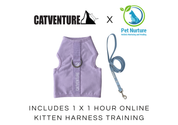 Kitten Harness Training Bundle