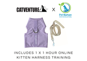 Kitten Harness Training Bundle