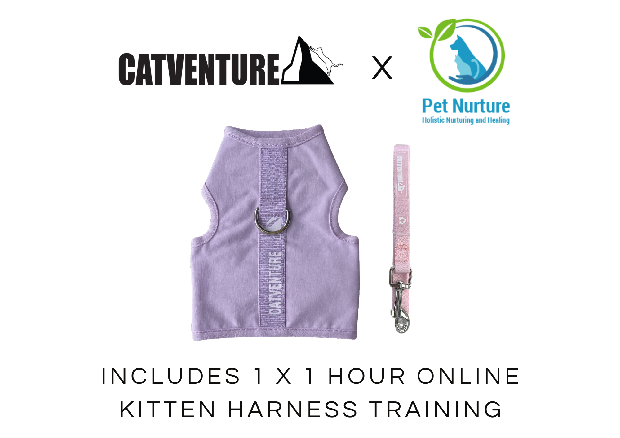 Kitten Harness Training Bundle