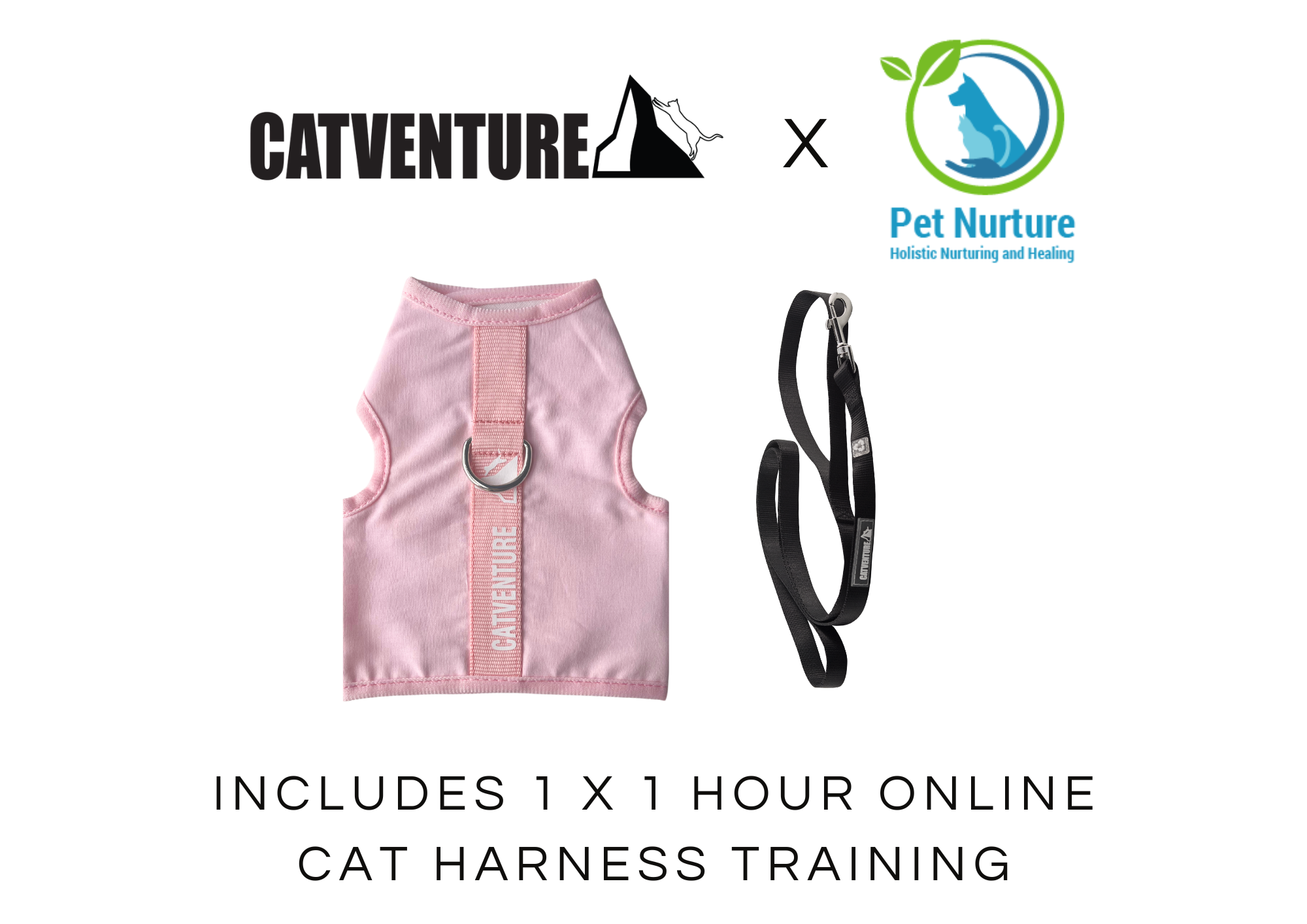 Cat Harness Training Bundle